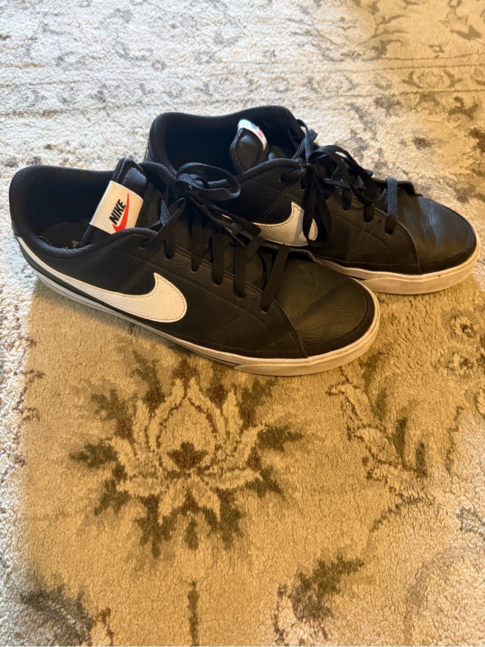 Nike Black Low-Top Sneakers with White Swoosh
